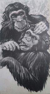 Female Chimpanzee opened the mouth of a younger male
