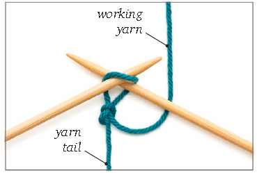 Place the needle with the slip knot