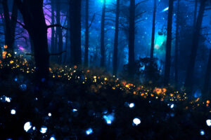 Glowing Forest
