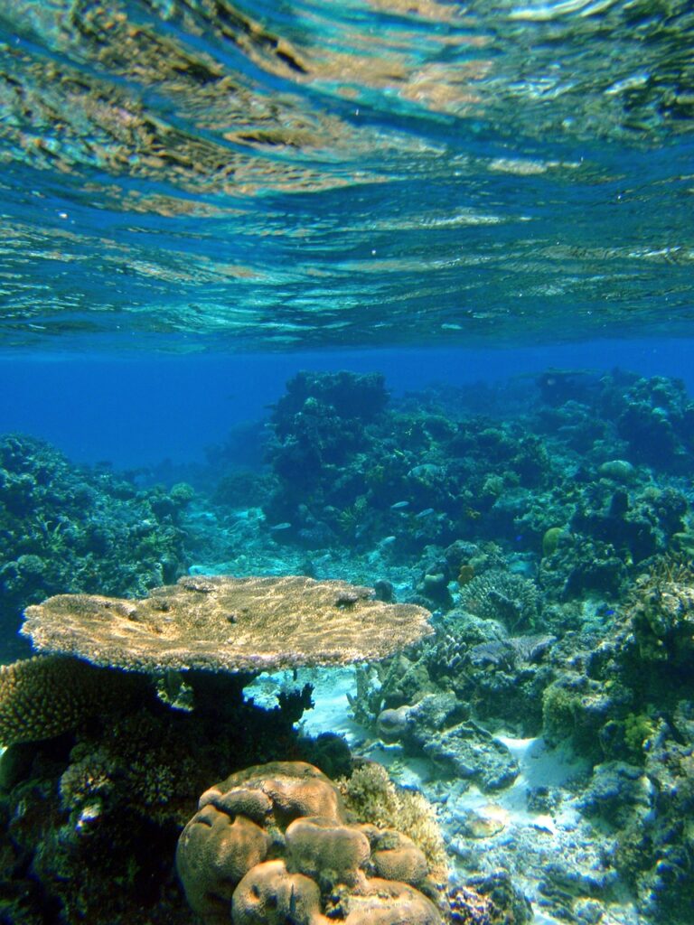 Fiji Reefs