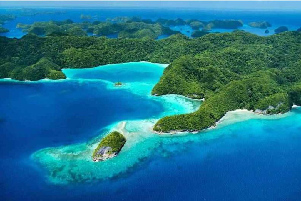 Palau Reefs