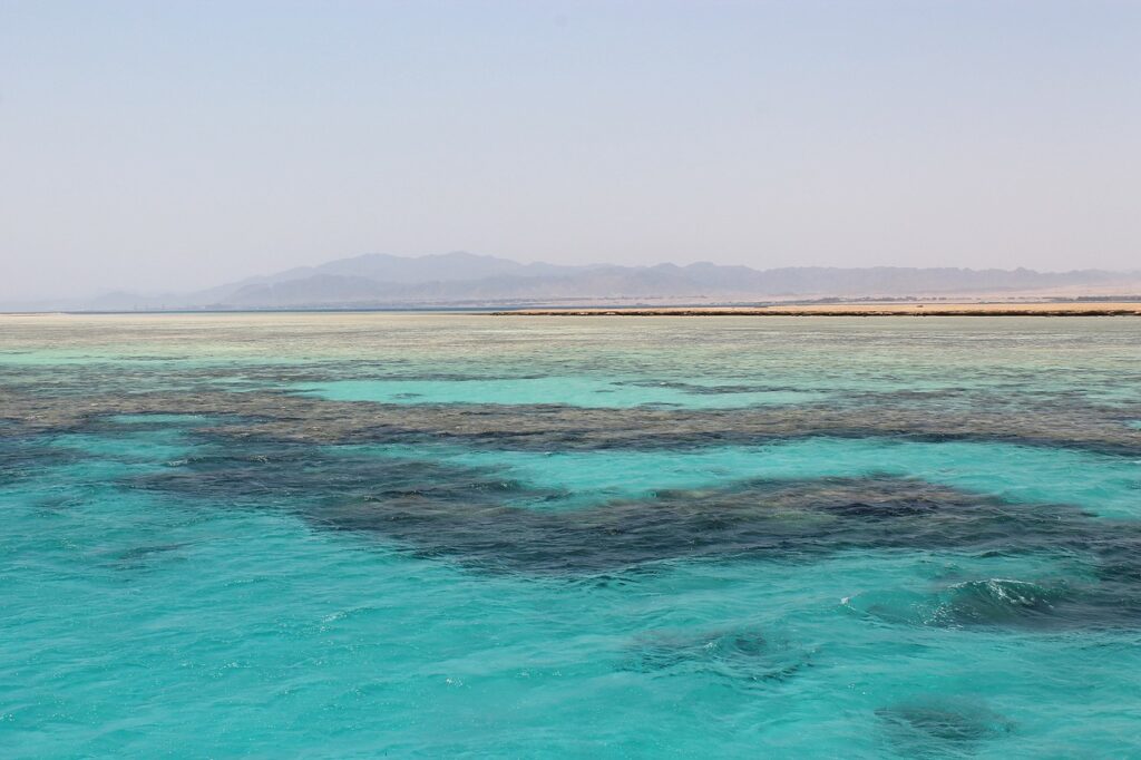 Red Sea, Egypt