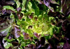 Leafy Vegetables