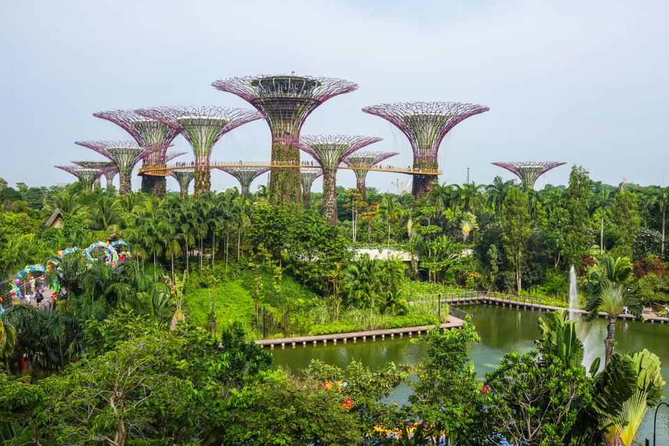 Singapore Botanical Garden