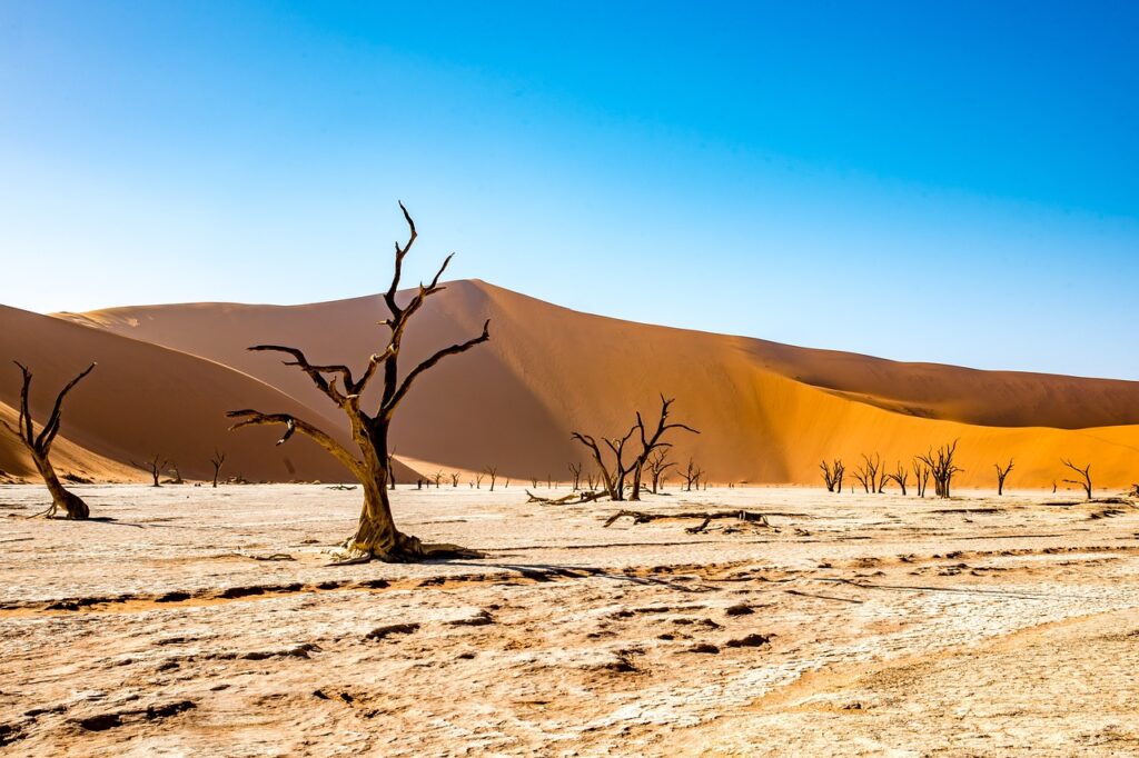 Dead Vlei, Namibia