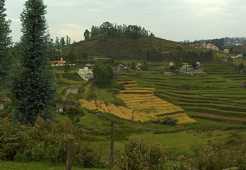 Kodaikanal, Tamil Nadu