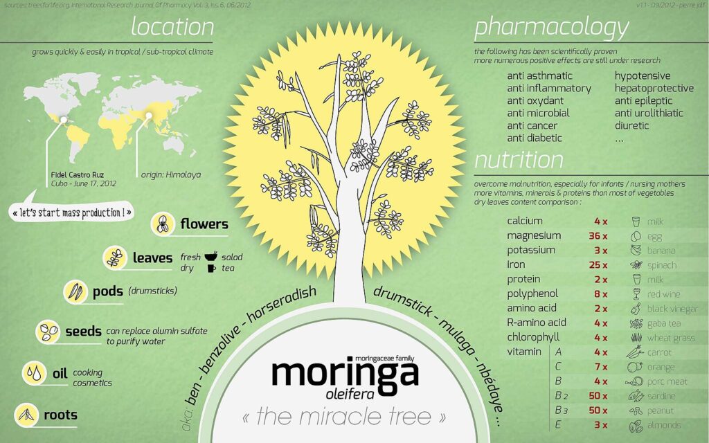 Moringa Health Benefits