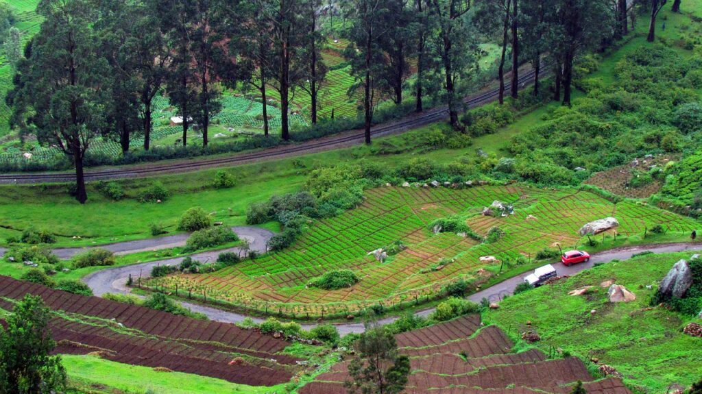 Ooty, Tamilnadu