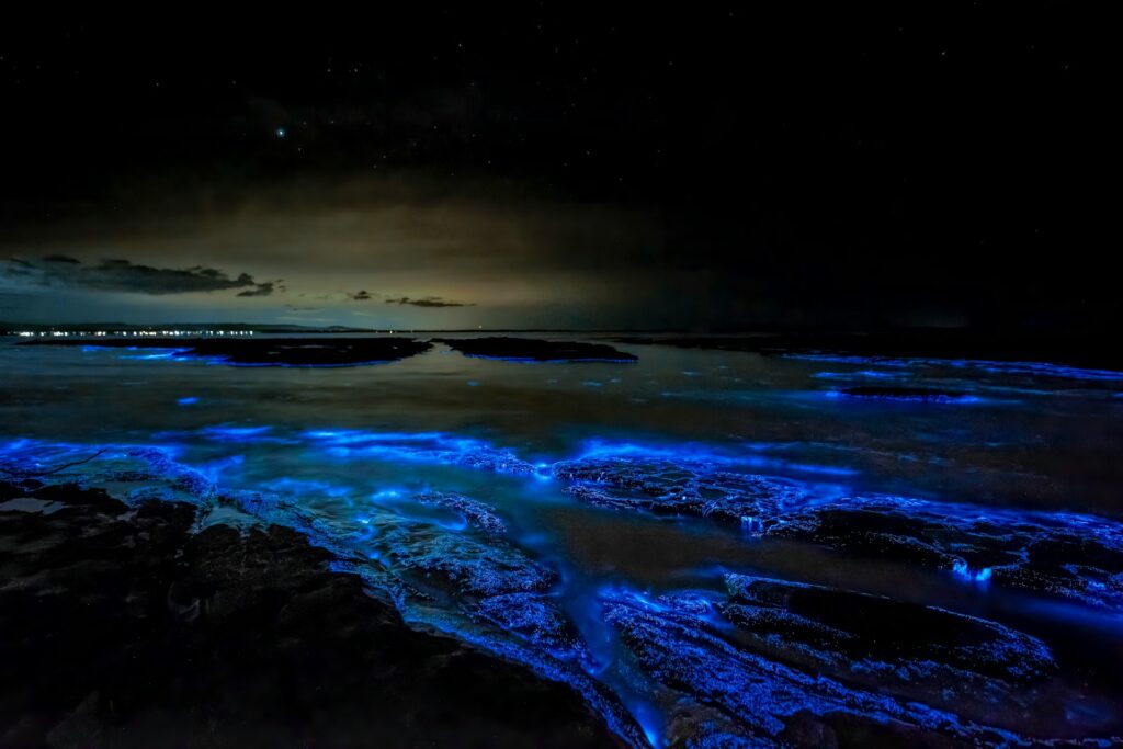 Jervis Bay, Australia