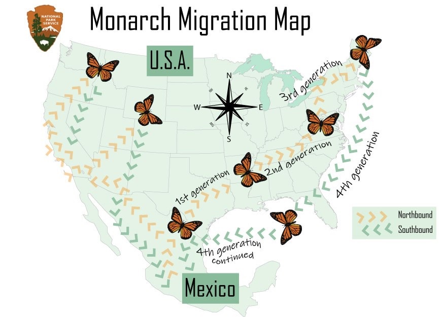 Monarch_Migration_map