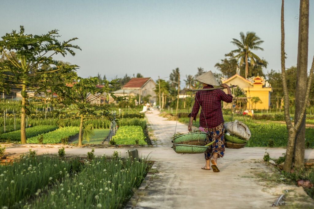 Village farming vegetables