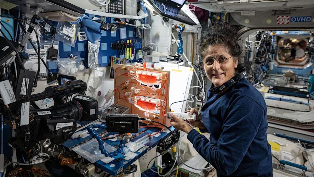 Astrobiology and Life Sciences on ISS