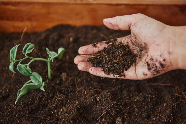 How to Make Vermicompost