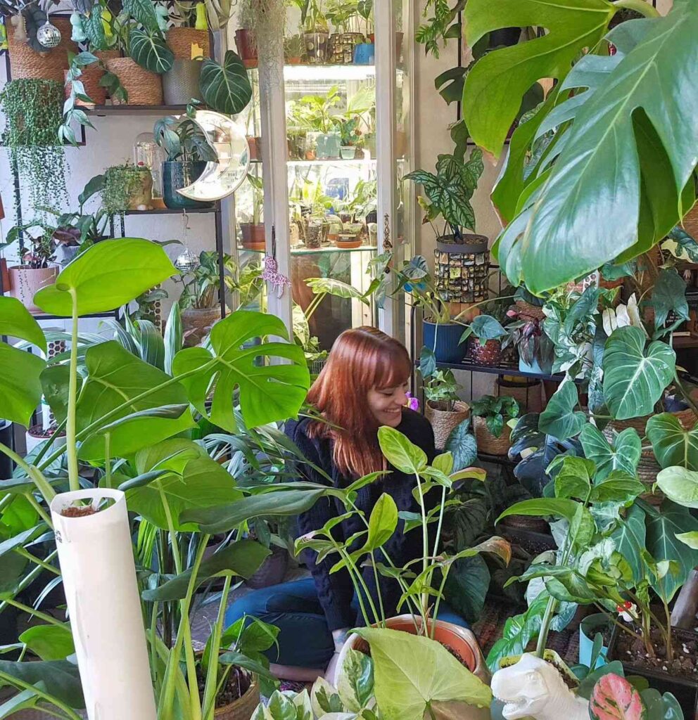 Plant shop