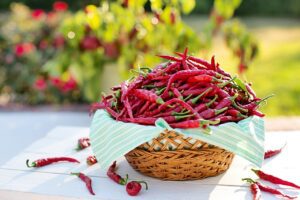 Top 10 Most Famous Chillies in the World