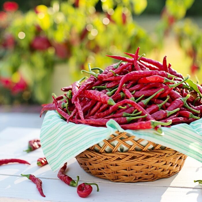 Top 10 Most Famous Chillies in the World