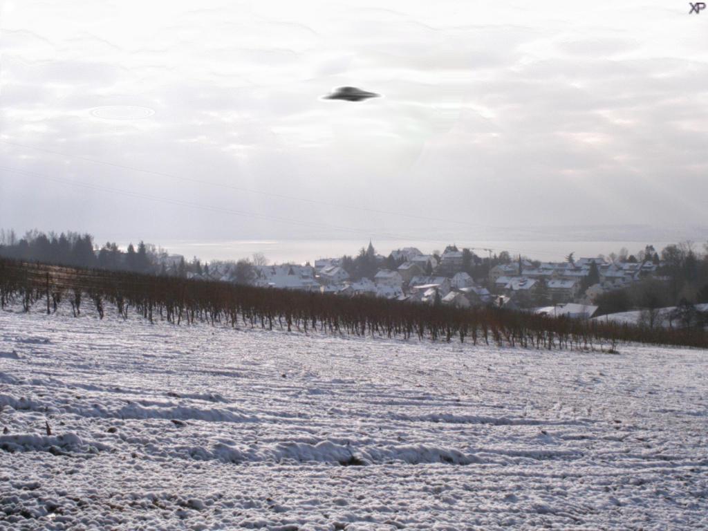 UFO-Meersburg