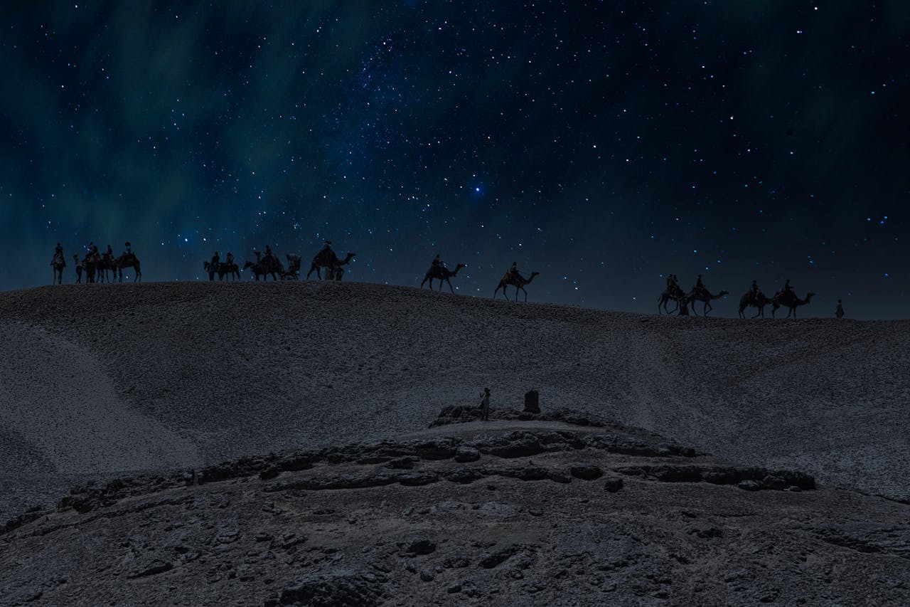 Camel Facts
