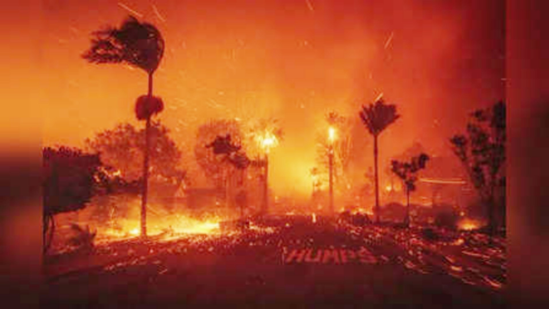 the Los Angeles Wildfires