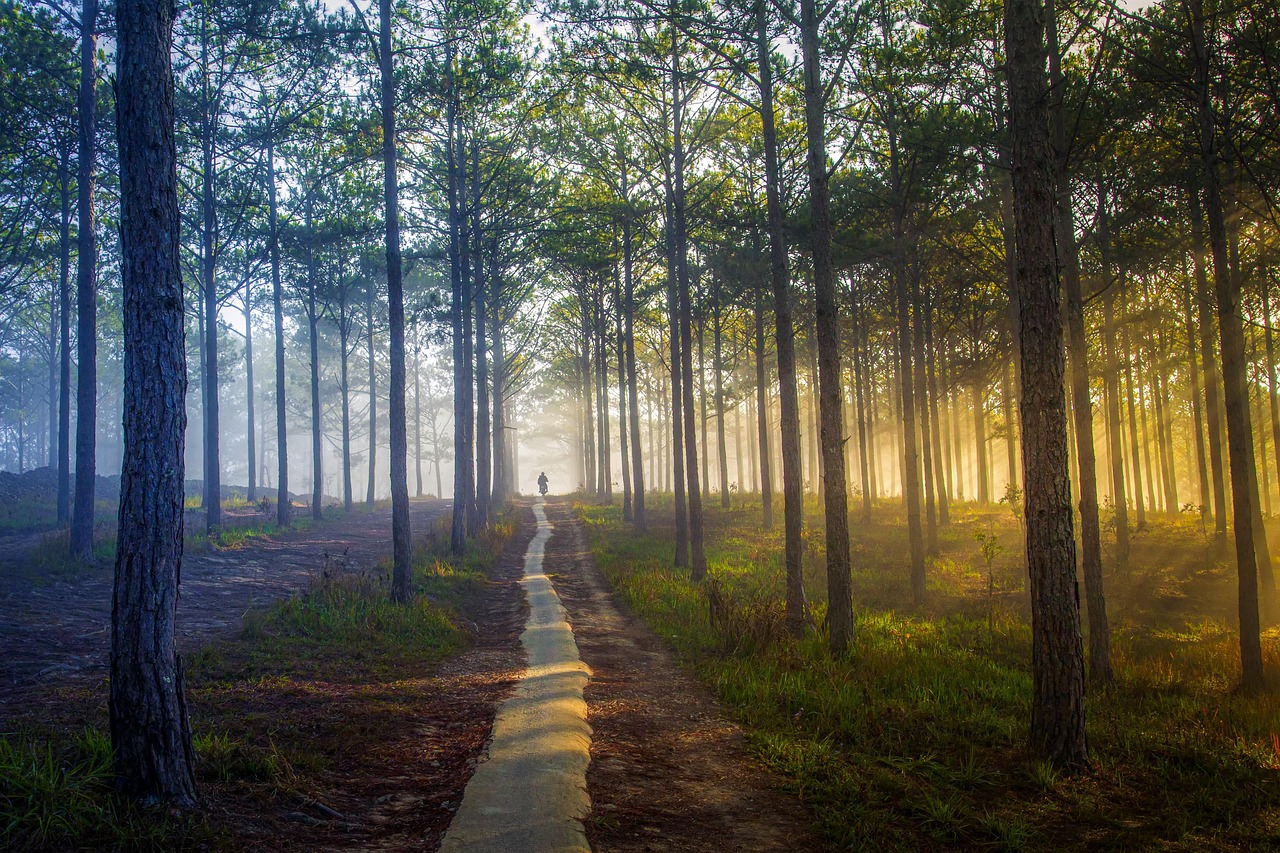 Hidden Hiking Trails