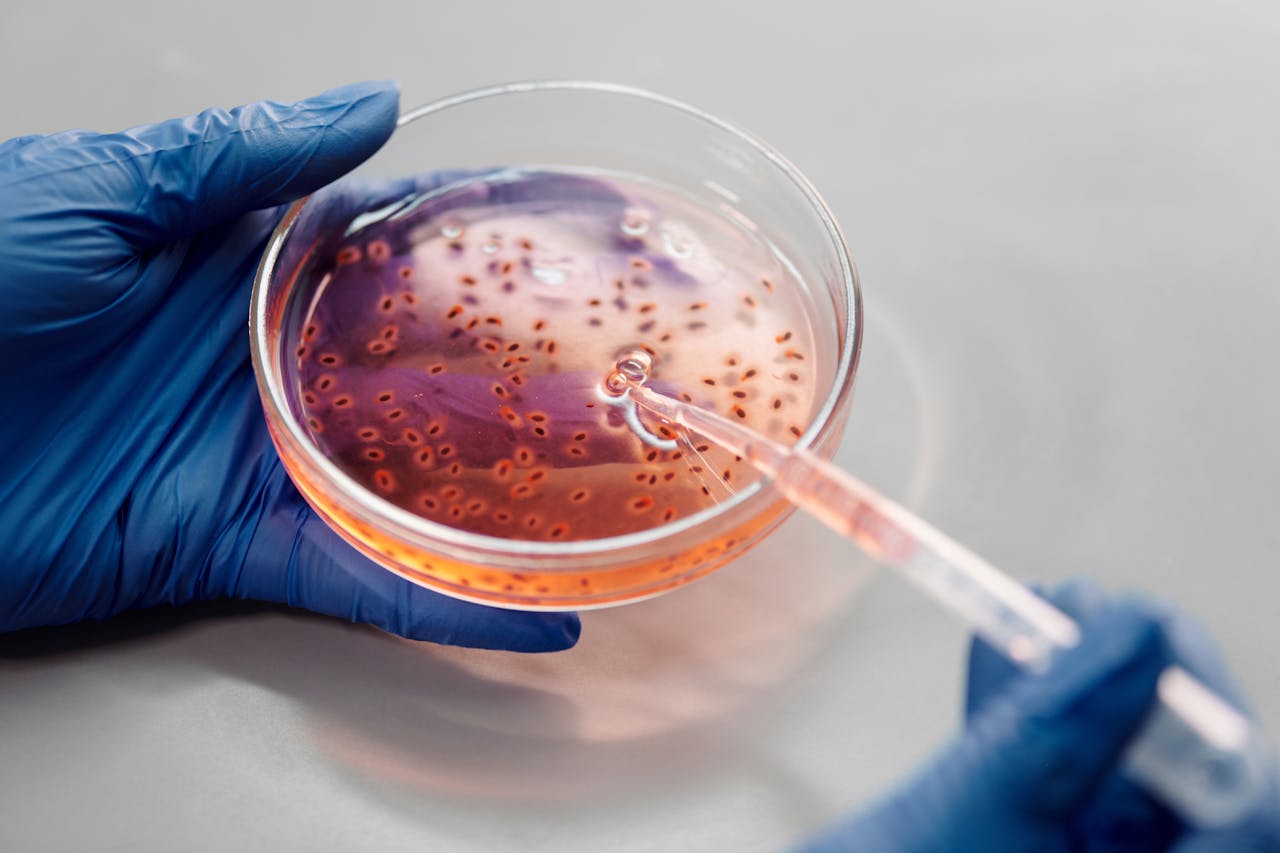 Tiny Microbes