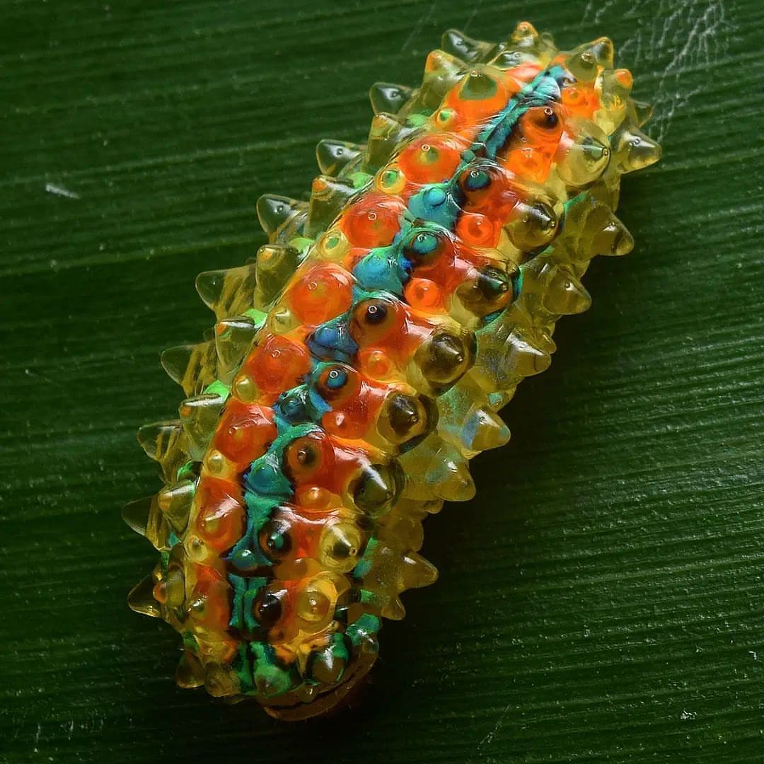Most Beautiful Caterpillars - Jewel Caterpillar