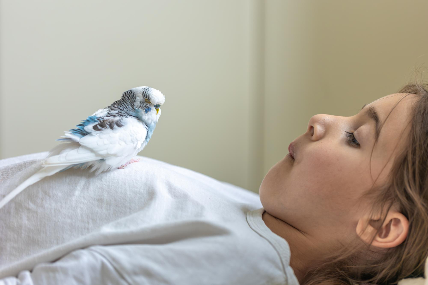 10 Birds That Drift Asleep Mid-Flight