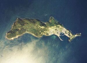 Cat Island in Japan