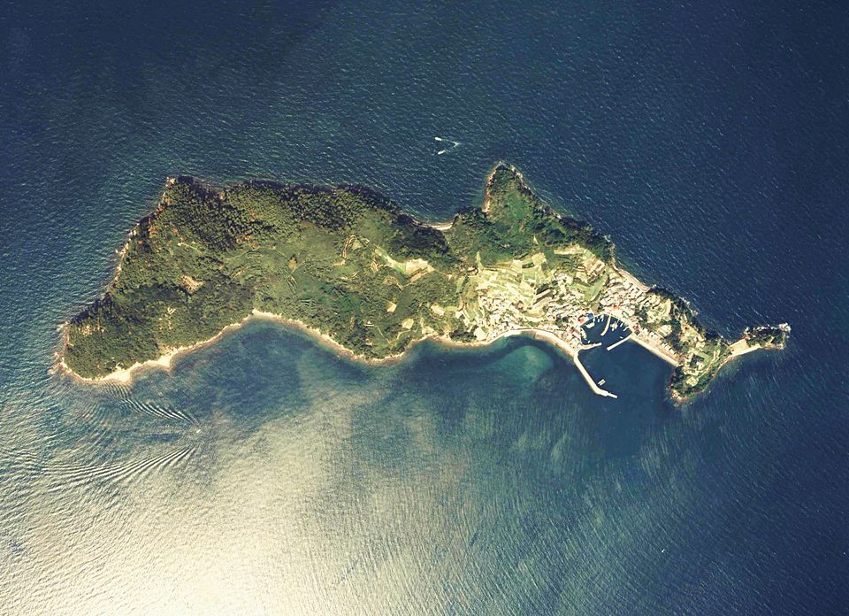 Cat Island in Japan