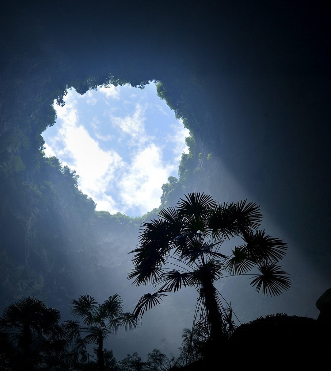 Cave in China with Own Ecosystem