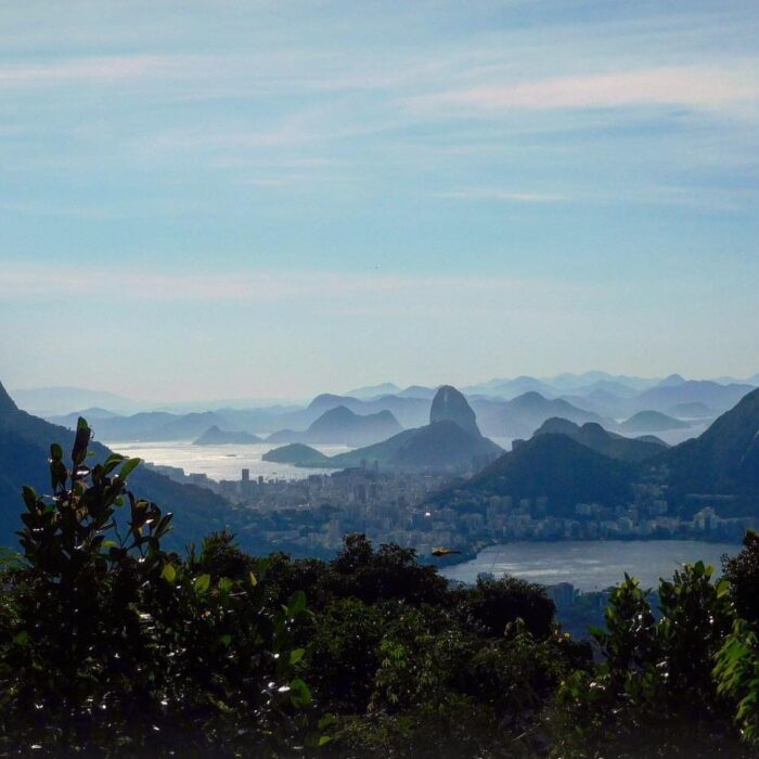 Tijuca National Park animals
