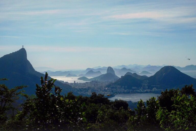 Tijuca National Park animals