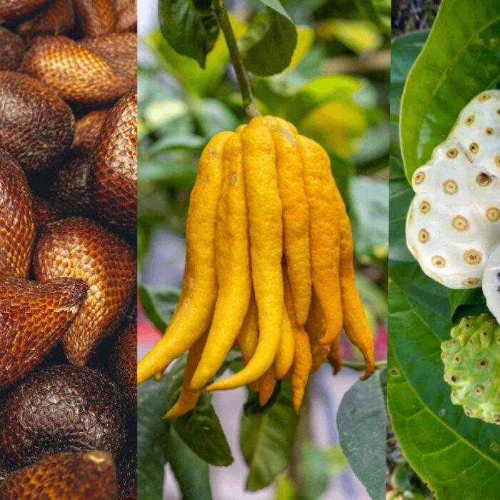 every fruit on planet