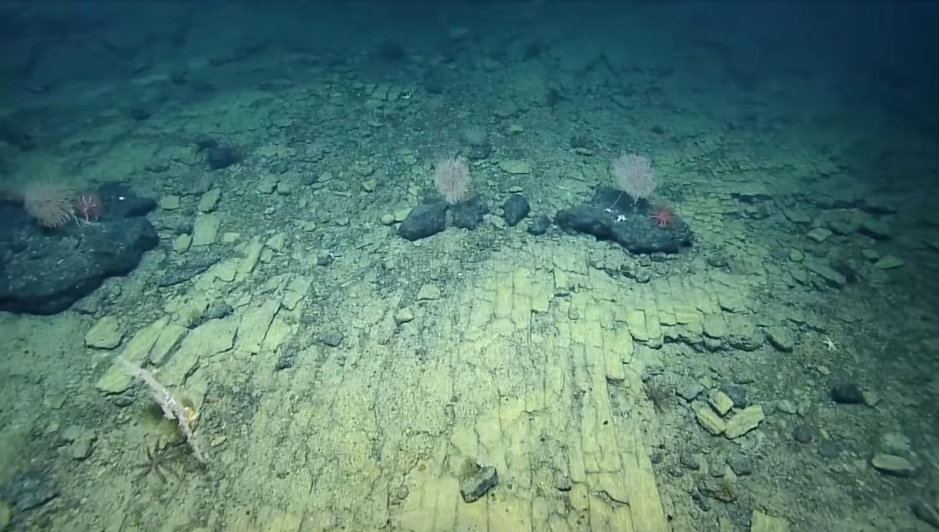 underwater yellow brick road