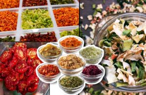 Dehydrated Vegetable Business Plan