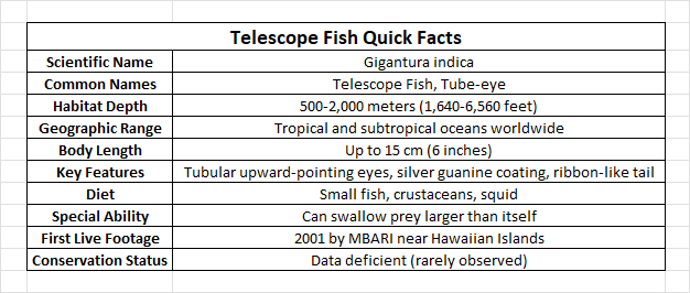 Telescope Fish Quick Facts