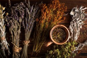 20 Rare Ayurvedic Herbs