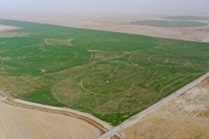 Great Green Wall of China