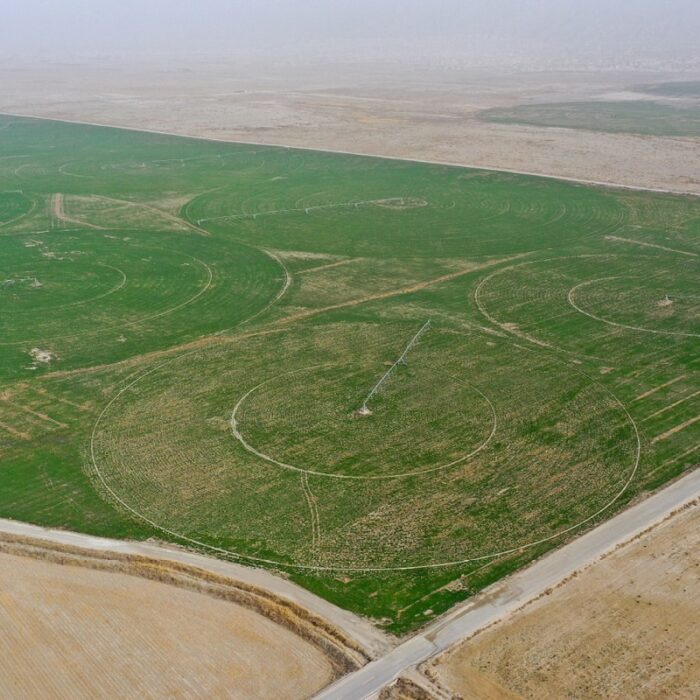 Great Green Wall of China