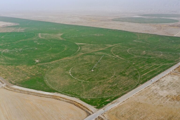 Great Green Wall of China