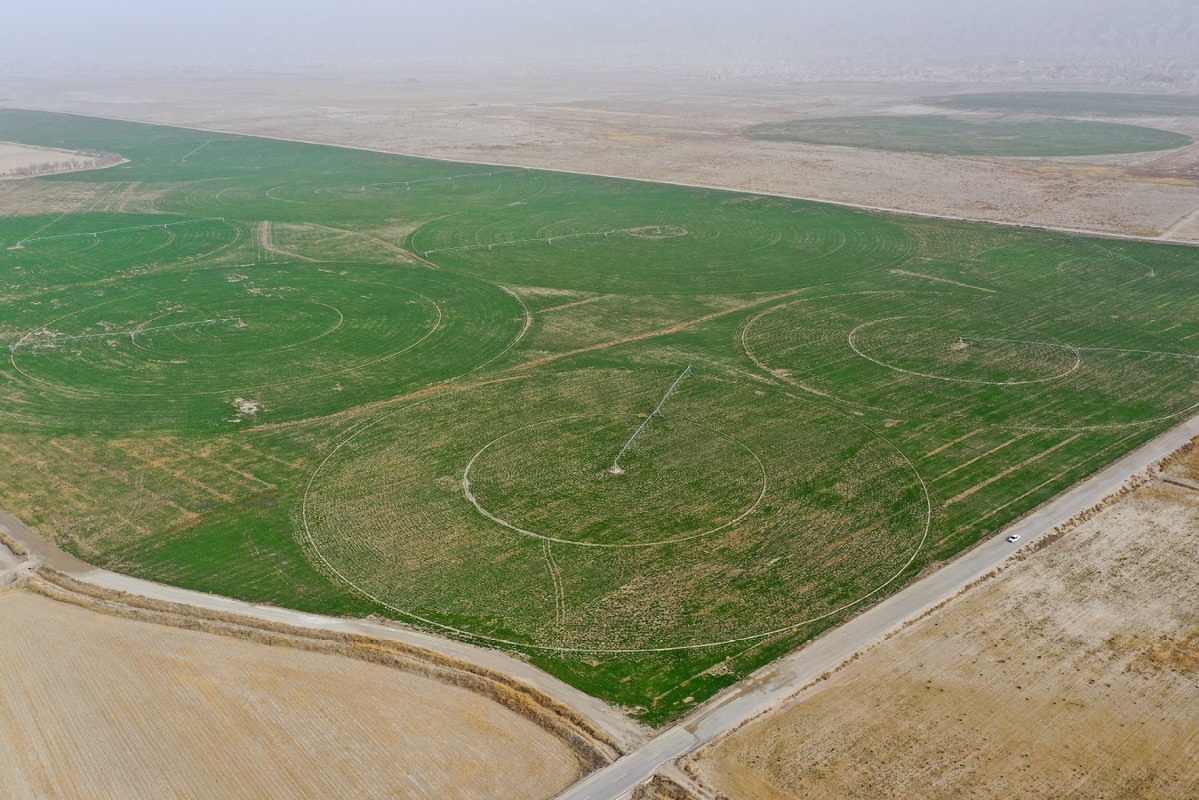 Great Green Wall of China