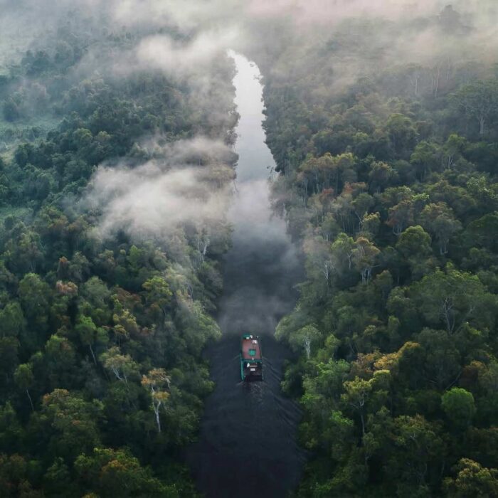 10 Rare Amazon Medicines