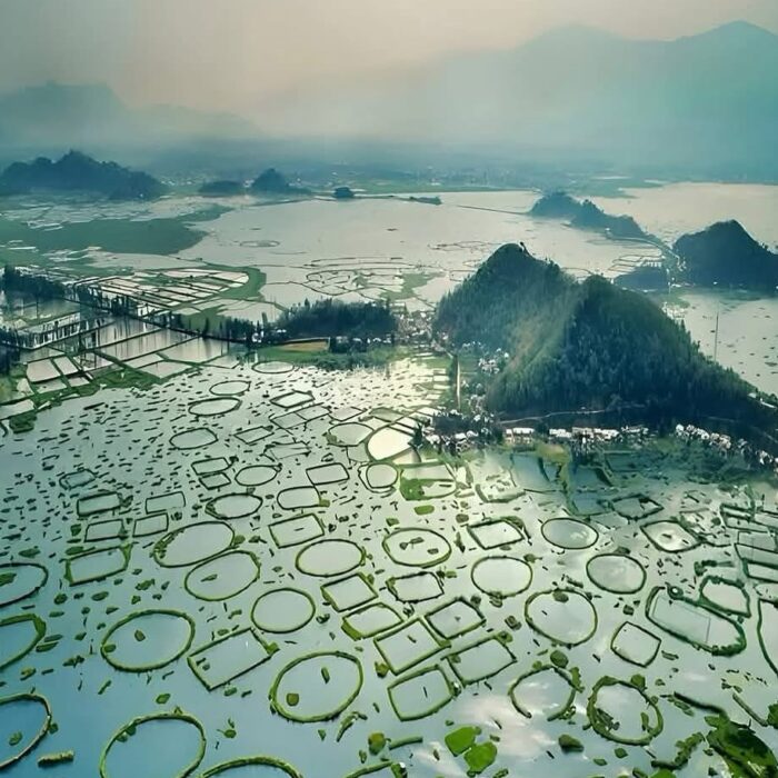 Loktak Lake, Manipur, India