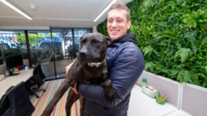 Paul Conyngham uses AI to create cancer vaccine for his dog