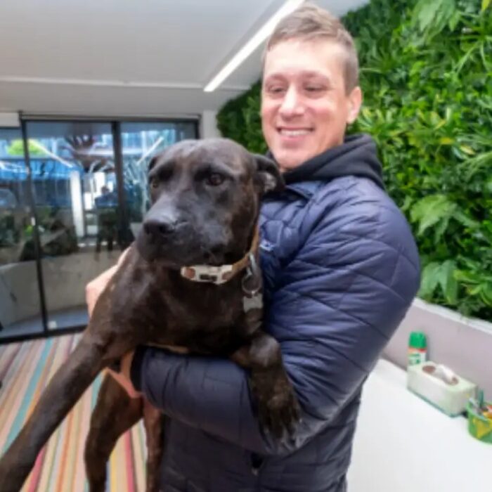 Paul Conyngham uses AI to create cancer vaccine for his dog