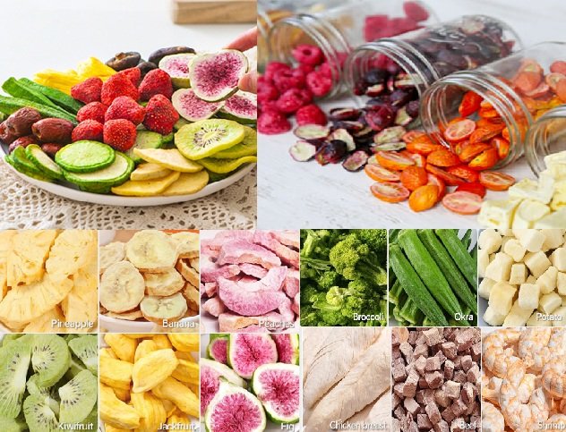 How to Start a Freeze-Dried & Dehydrated Fruits, Vegetables and Meat Business