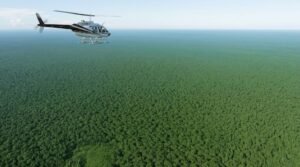 How Big Is the Amazon Rainforest