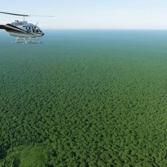 How Big Is the Amazon Rainforest
