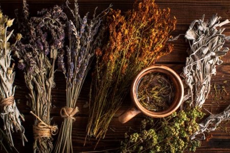 20 Rare Ayurvedic Herbs 20 Rare Ayurvedic Herbs