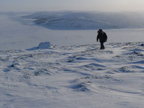 Arctic Desert